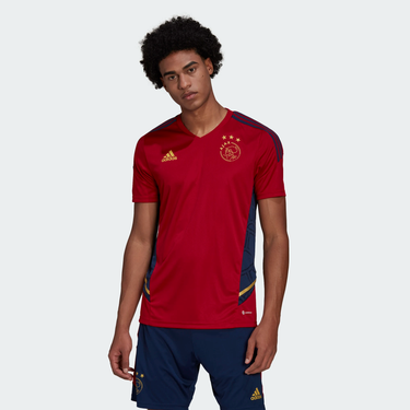 Ajax Amsterdam Training Shirt Man 2022/23